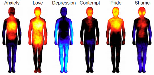 The Body Map Of Emotions Happiness Activates The Whole Body Psyblog