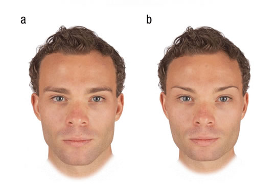 The Most Attractive Male Face Shape To Females - PsyBlog